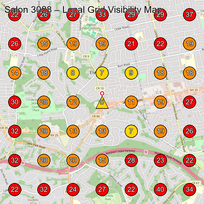 Salon 3028 GeoGrid visibility map for Beauty Salon in Commack